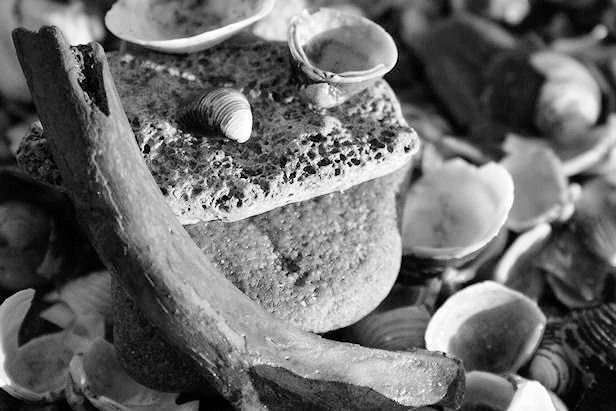 still life